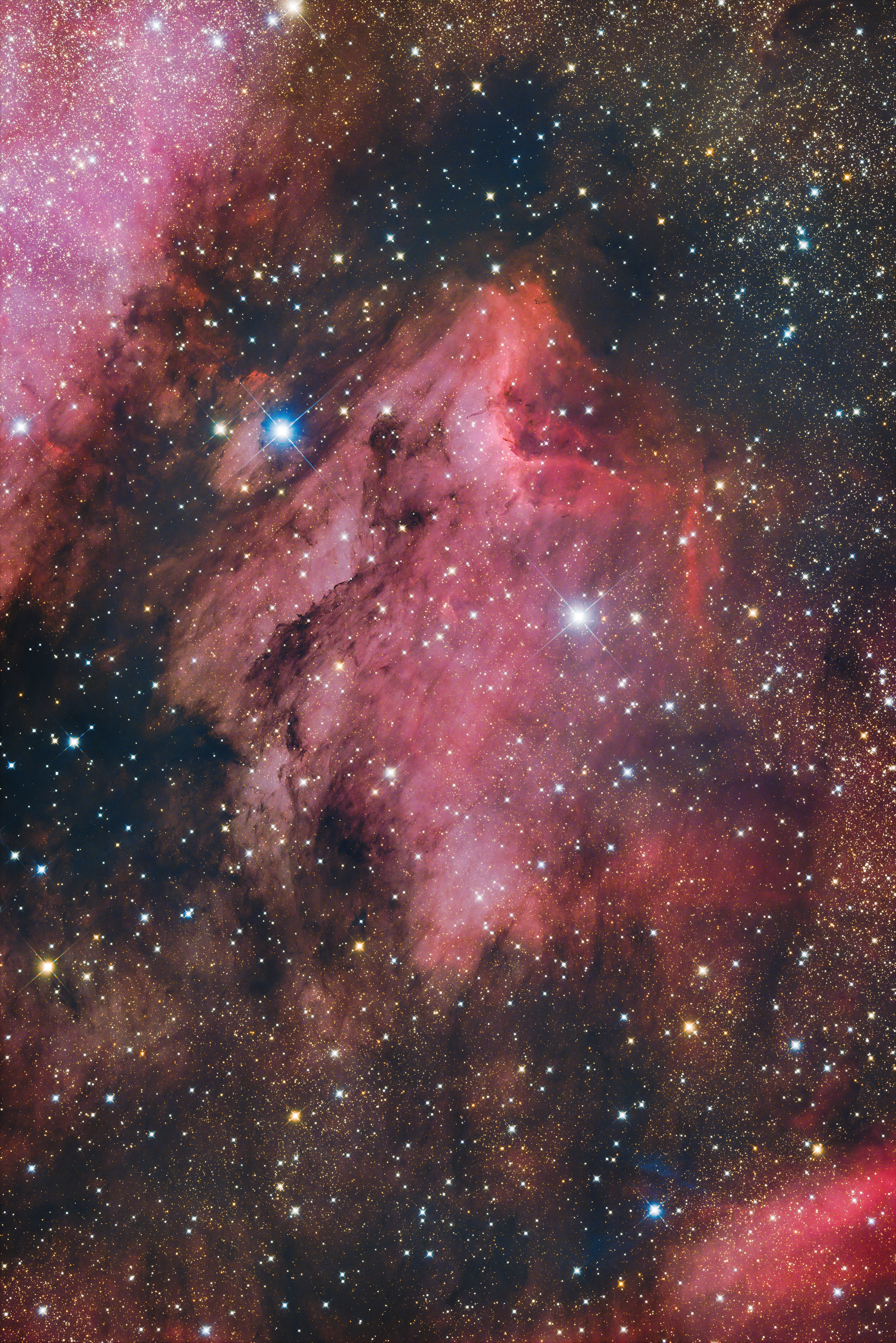 Pelican Nebula