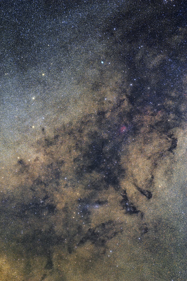 や座～こぎつね座星野写真