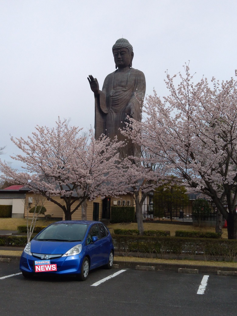 牛久大仏くん