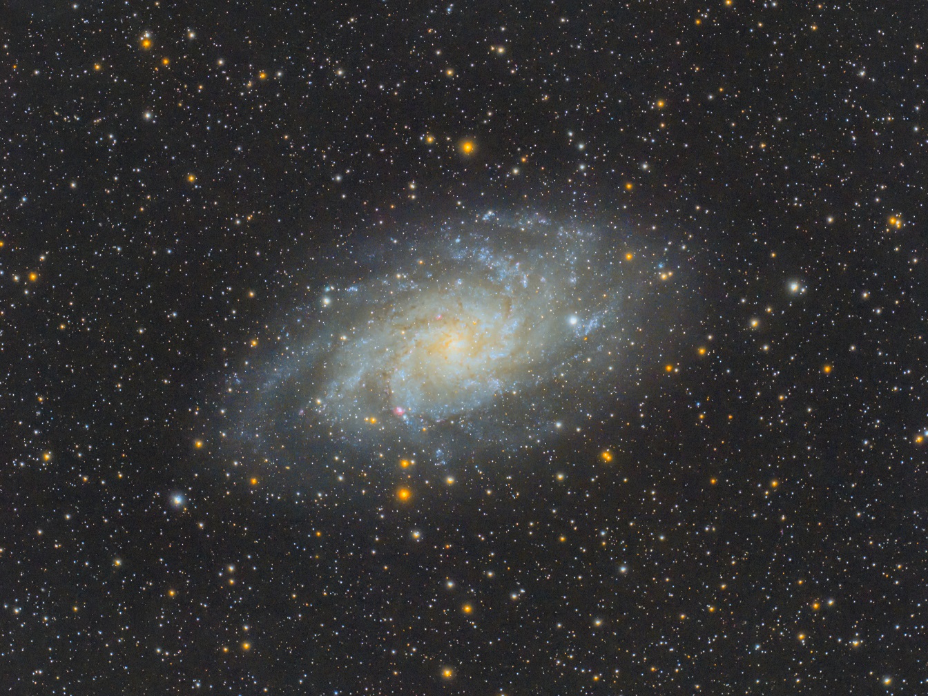 M33