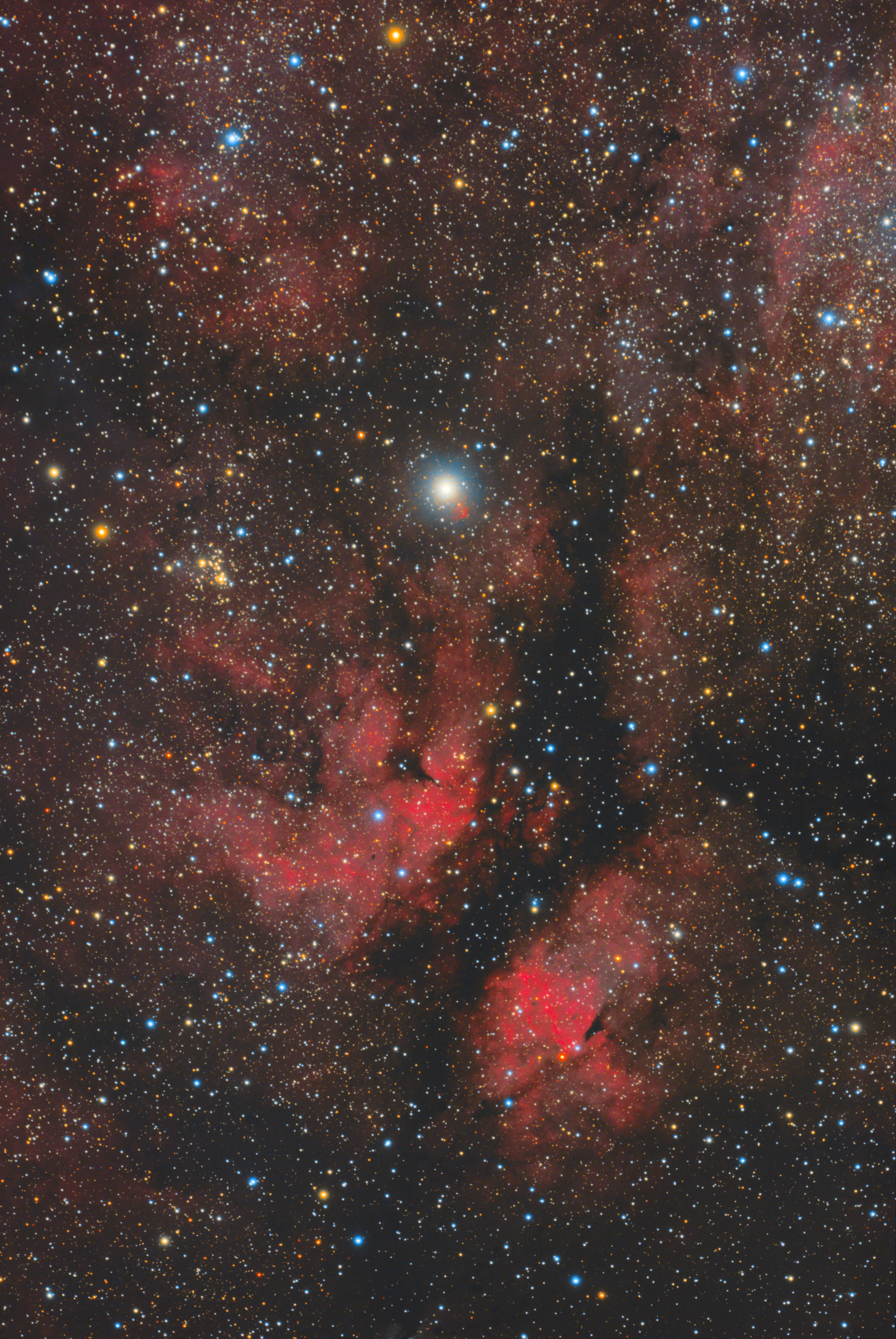 IC1318 サドル付近