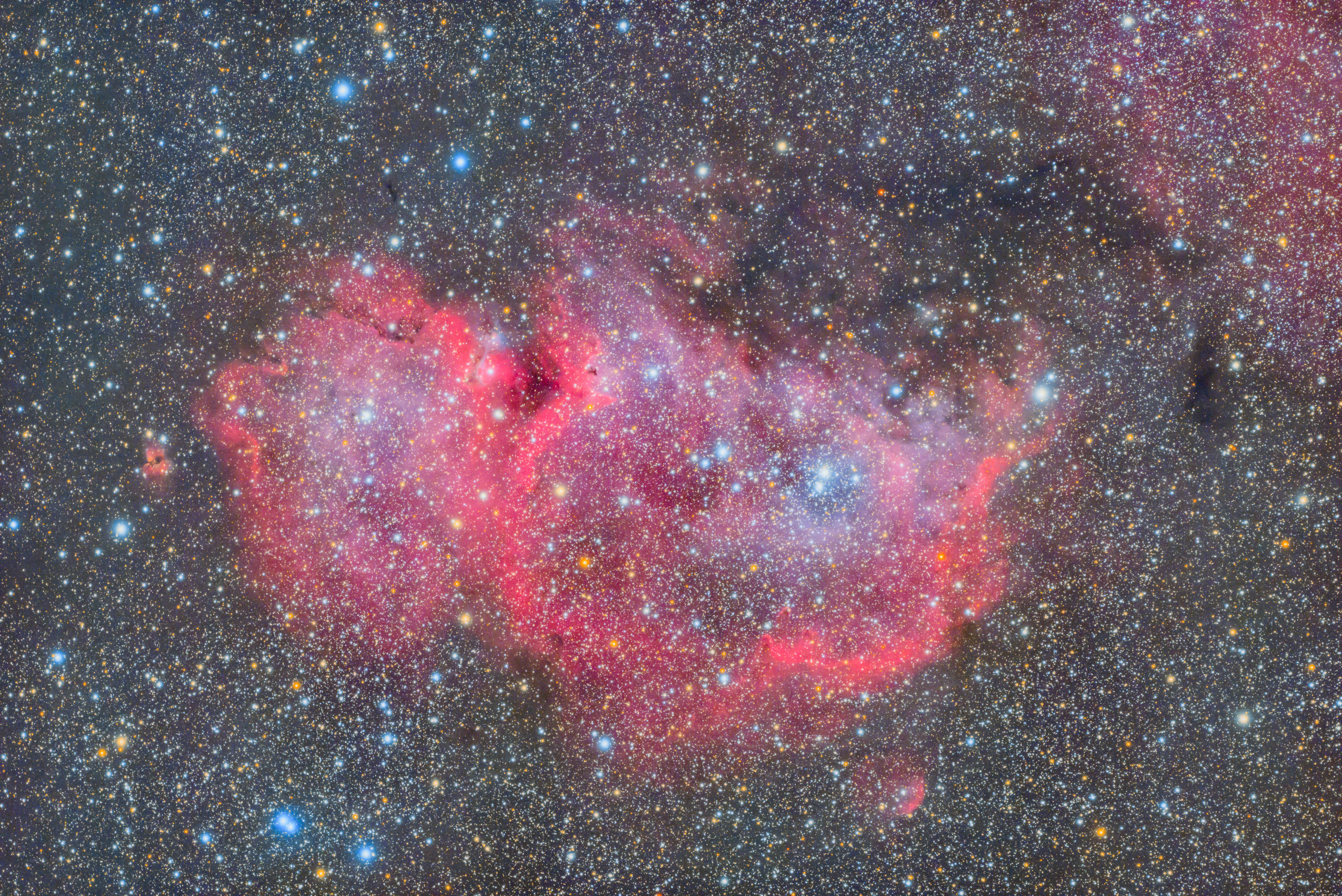 IC1848 胎児星雲