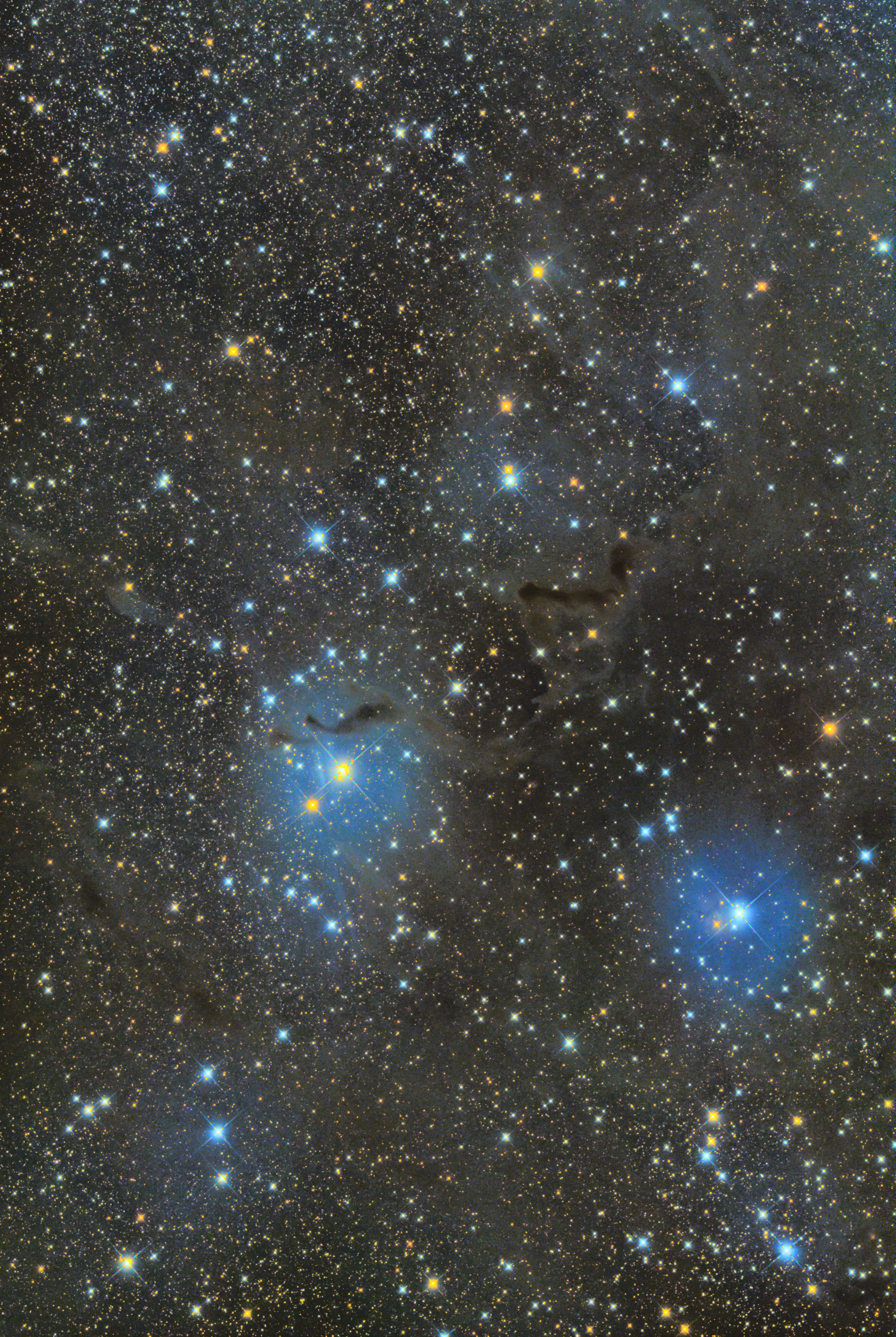 LDN1355 The helping hand nebula